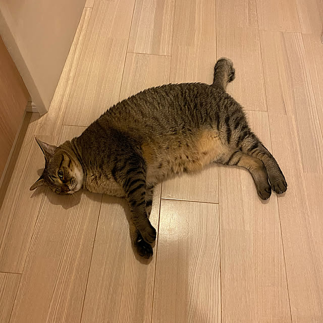 naturalさんの実例写真