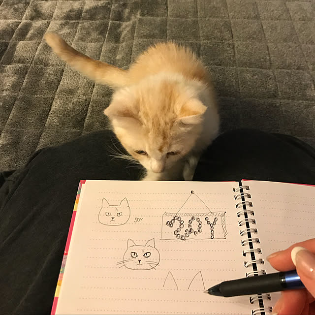 H.Tさんの実例写真