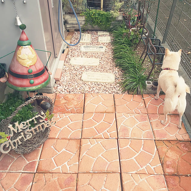 mmpoohさんの実例写真