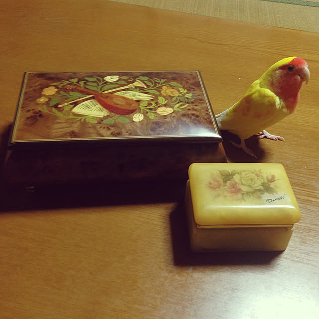 aoinokimiさんの実例写真