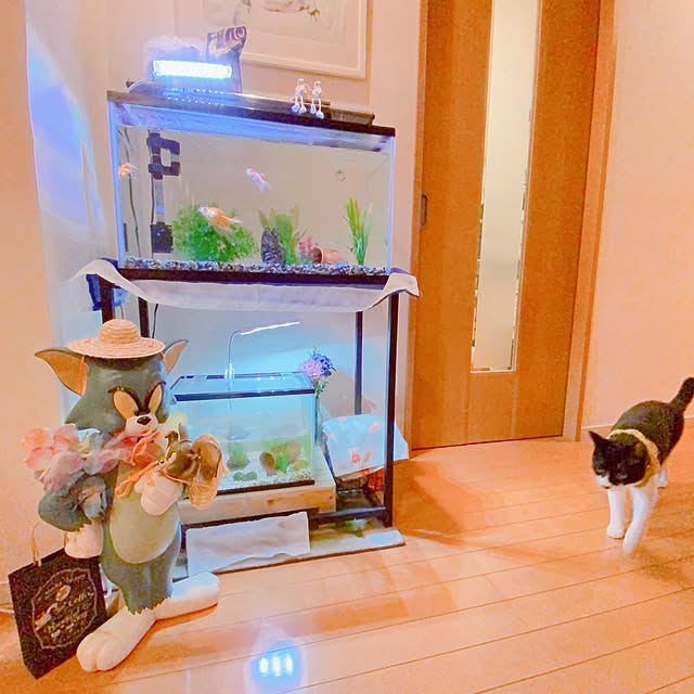 moolさんの部屋