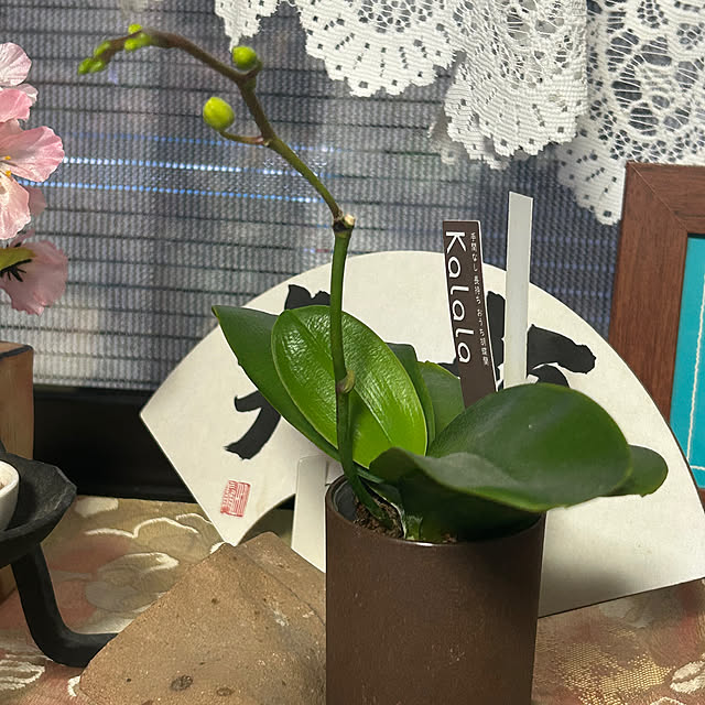 ritsukoさんの部屋