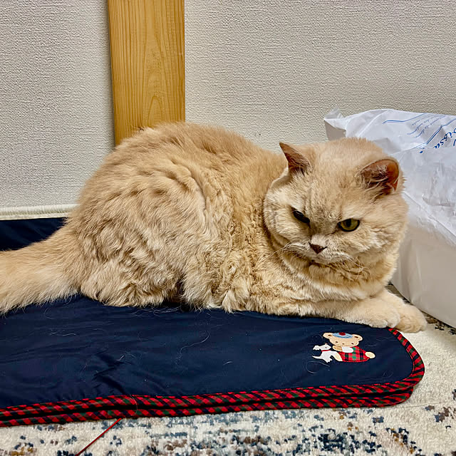 naokoさんの部屋