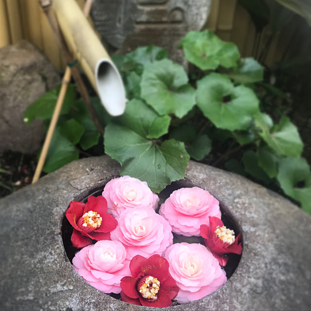 na.poiさんの実例写真
