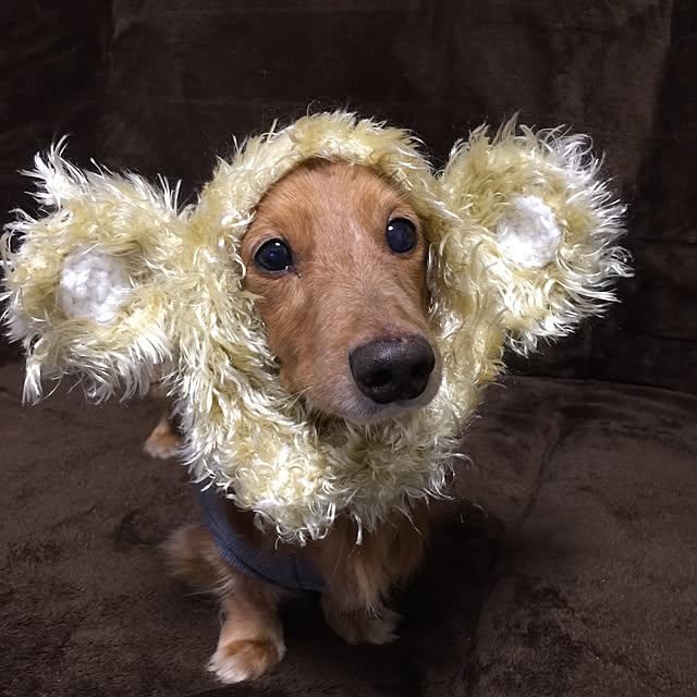 ram_mamaさんの実例写真