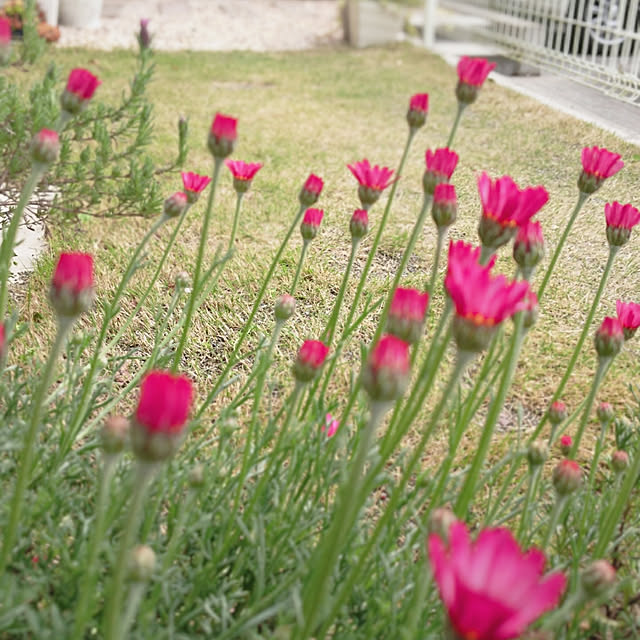 r.k.m.n_n.3.4.5さんの実例写真