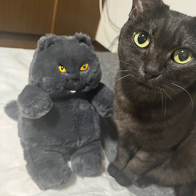 tommysobacさんの実例写真
