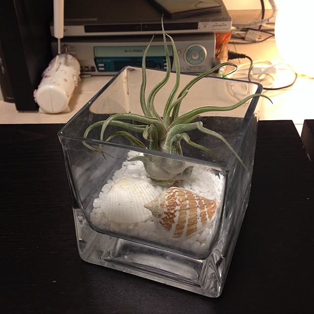 mizuさんの実例写真