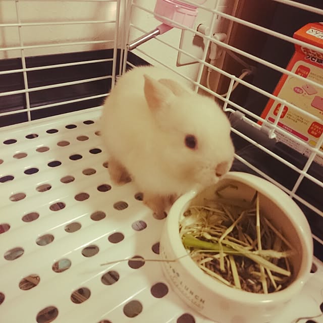 nnam0131さんの実例写真