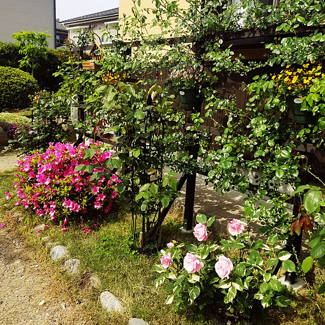 exileingkさんの実例写真
