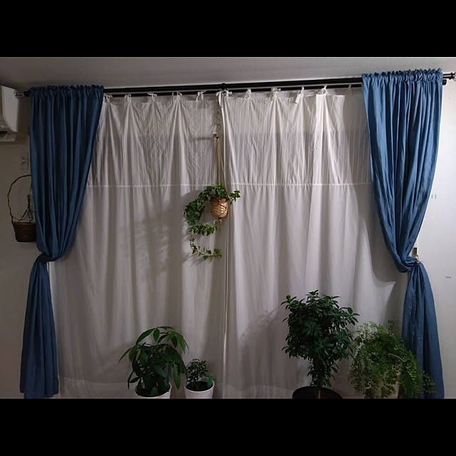 gordon_algernonさんの実例写真