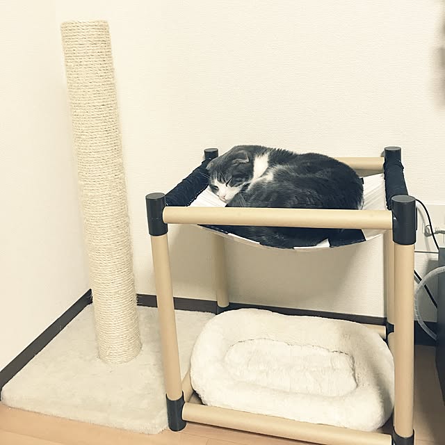 tansukeさんの実例写真