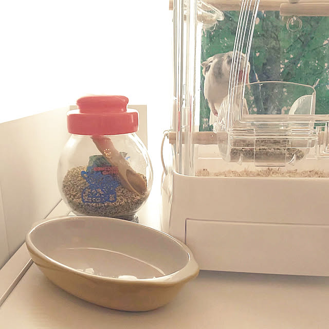 Yoshi55goさんの実例写真