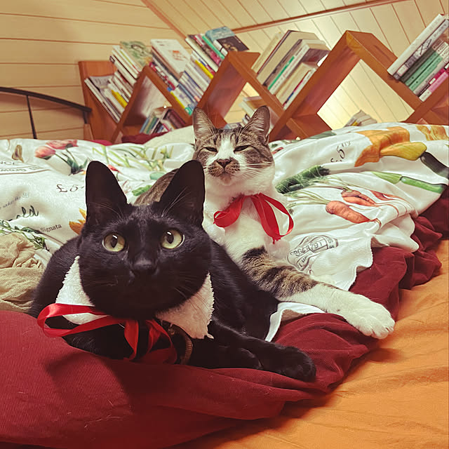 jijiさんの実例写真