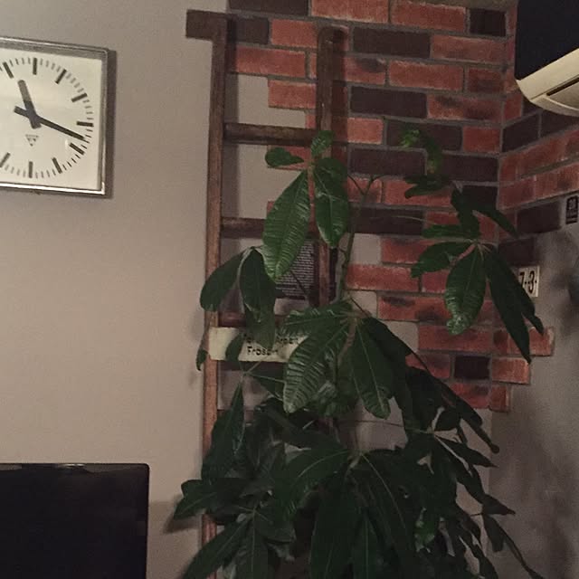 mintteaさんの実例写真