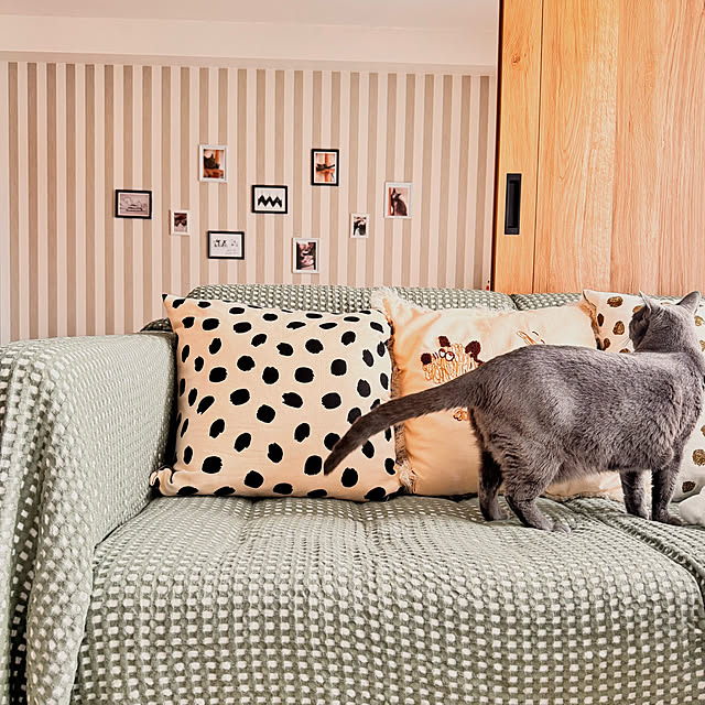 snoopyさんの部屋