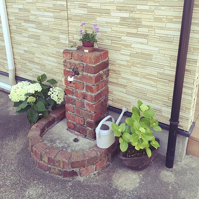 musuさんの実例写真