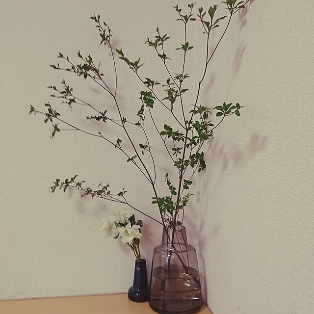 nattimomoさんの実例写真