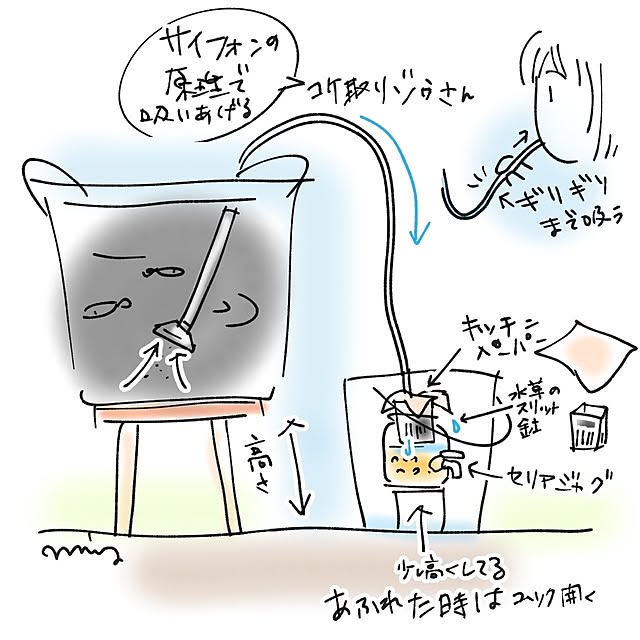 mi-saさんの部屋
