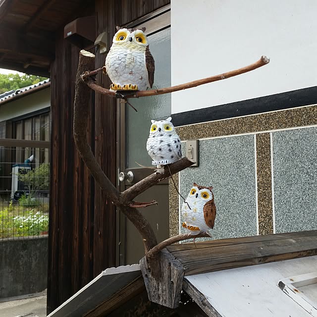K-kingさんの実例写真