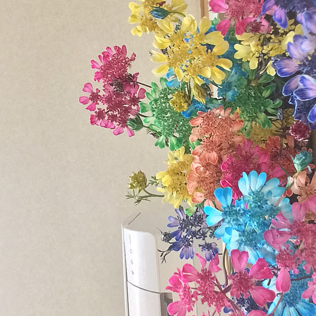 kyoko1124koさんの実例写真