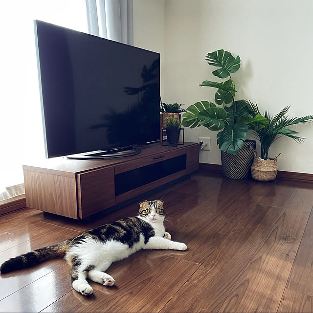 tansukeさんの実例写真