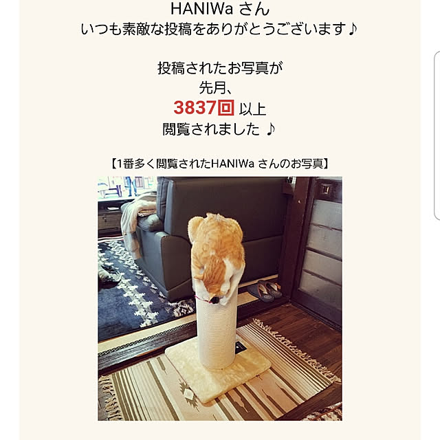 HANIWaさんの実例写真