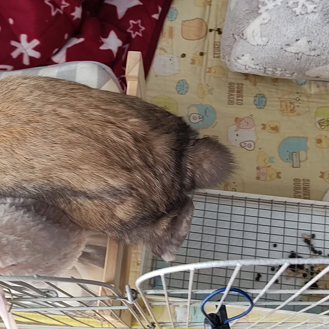 mariaさんの実例写真