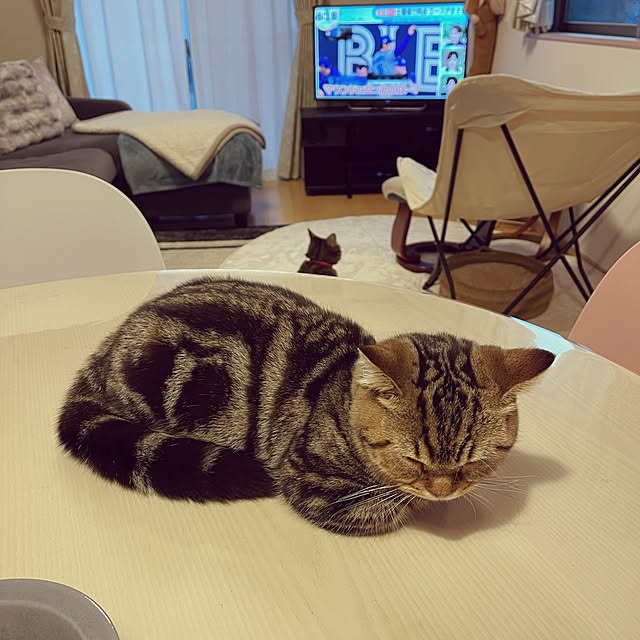 chiiさんの実例写真