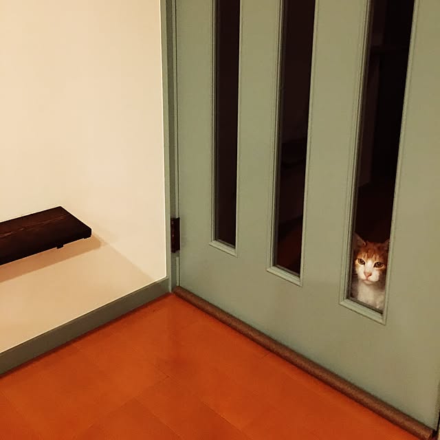 youkoさんの実例写真