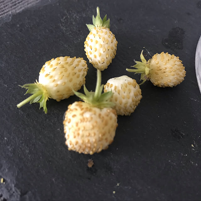 hayasanさんの実例写真
