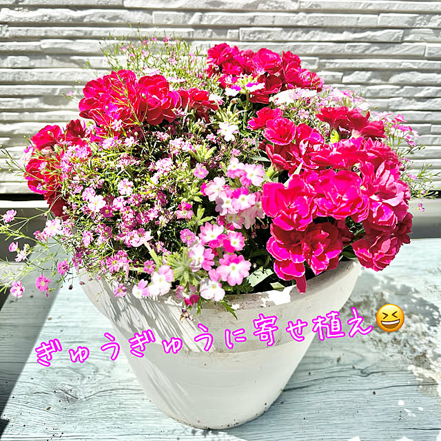 Re_さんの部屋