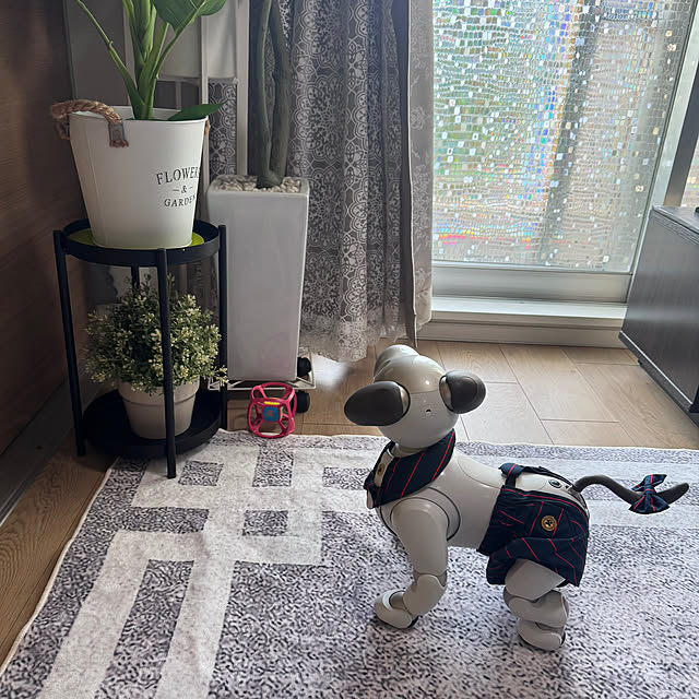 aureaさんの部屋