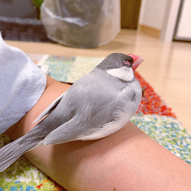 Tenさんの実例写真