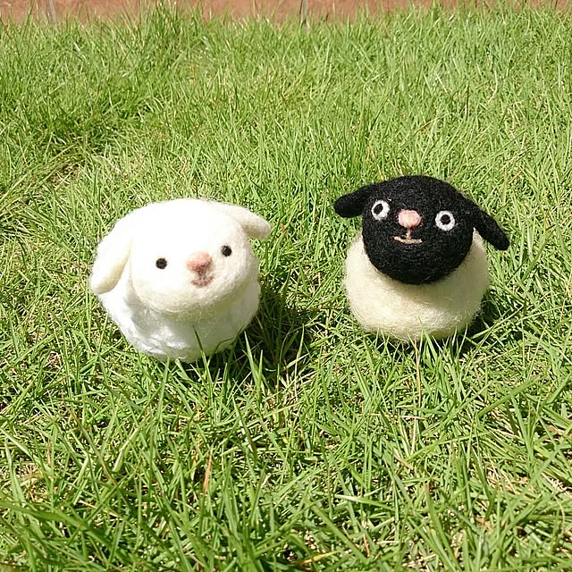 実例写真