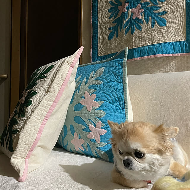 natsumiさんの部屋