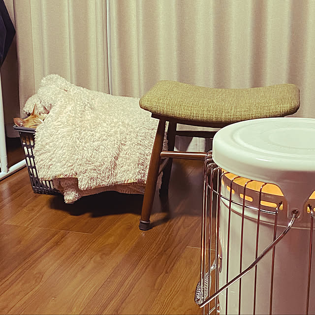 MUGIさんの実例写真
