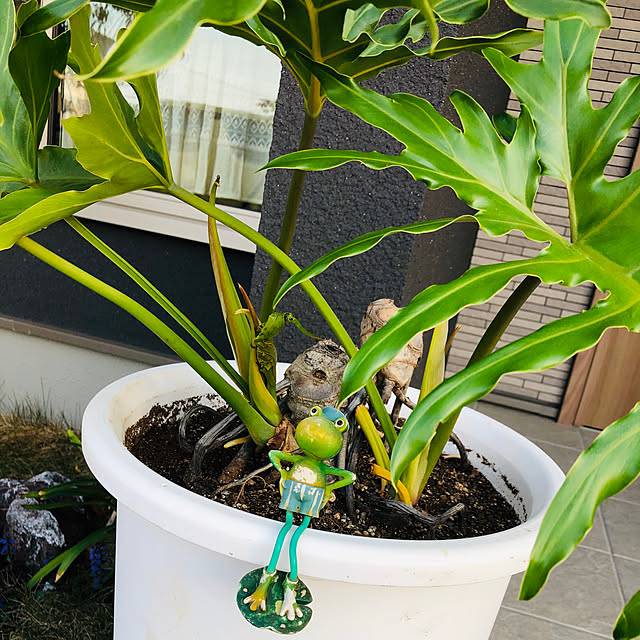 orangeさんの実例写真