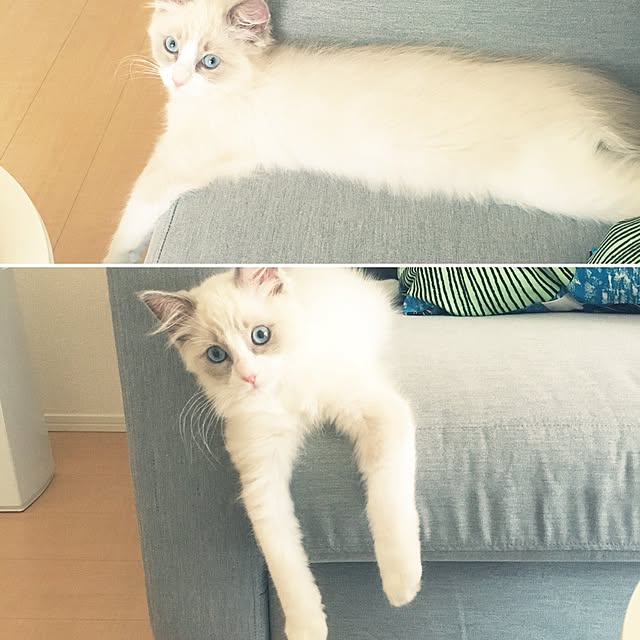 rbesfさんの実例写真