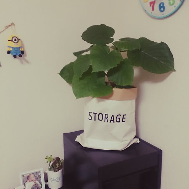 kaanaさんの実例写真