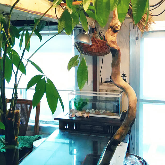 konakoさんの実例写真