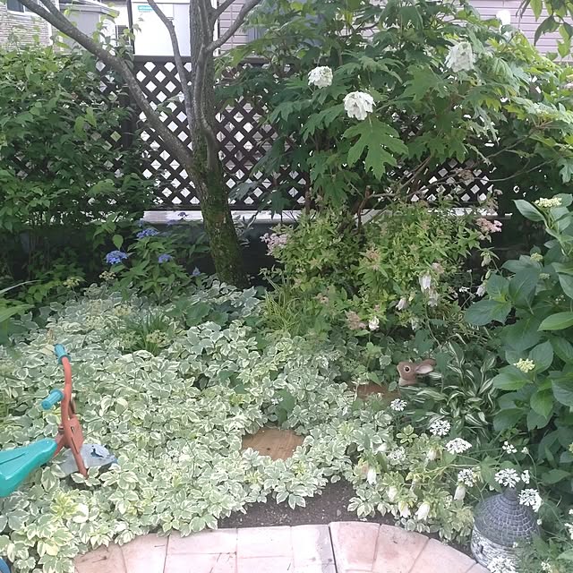 Hujikoさんの部屋