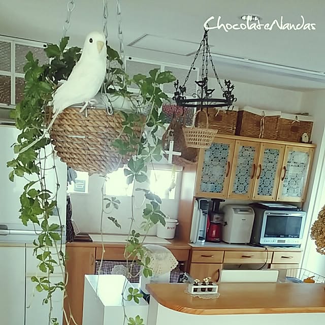 ChocolateNandasさんの実例写真