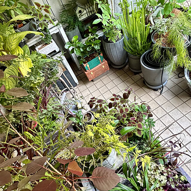 DAYONEさんの部屋