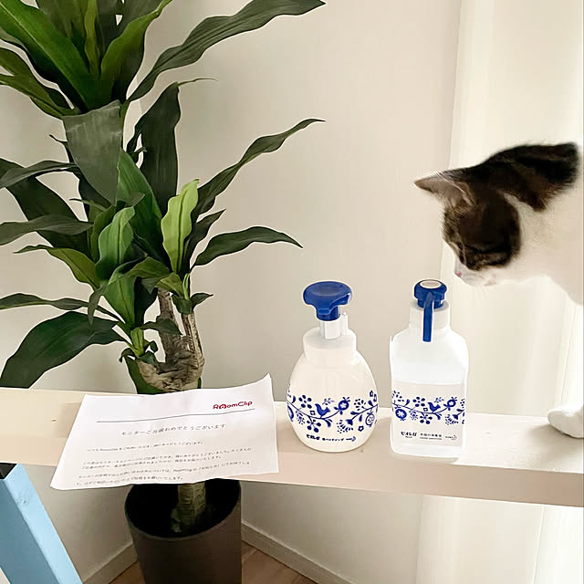 hemukoさんの実例写真
