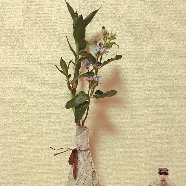 KJさんの実例写真