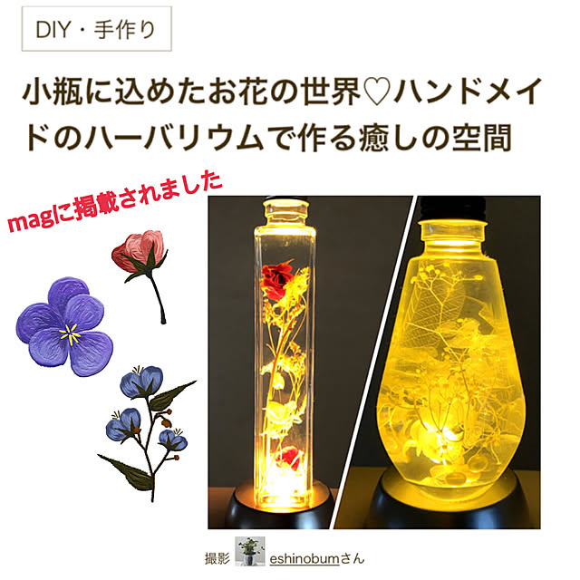 eshinobumさんの実例写真