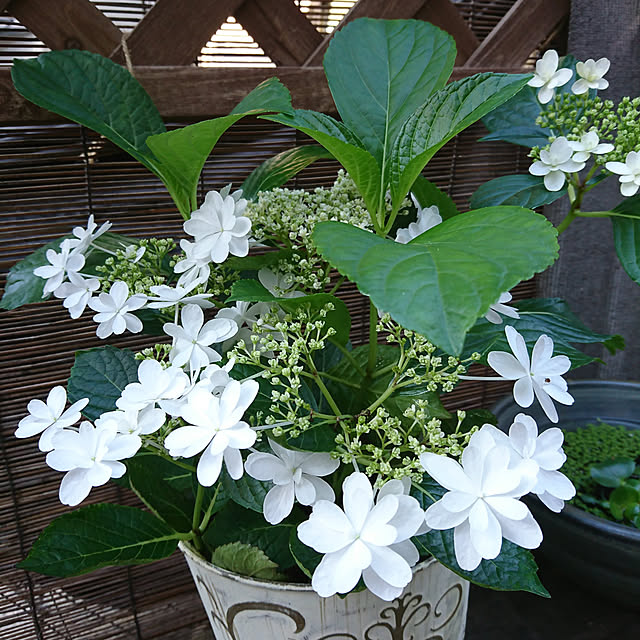 saumiさんの部屋