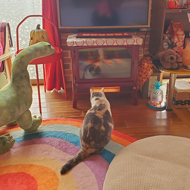 kumutanさんの実例写真