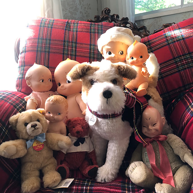 Toruさんの実例写真